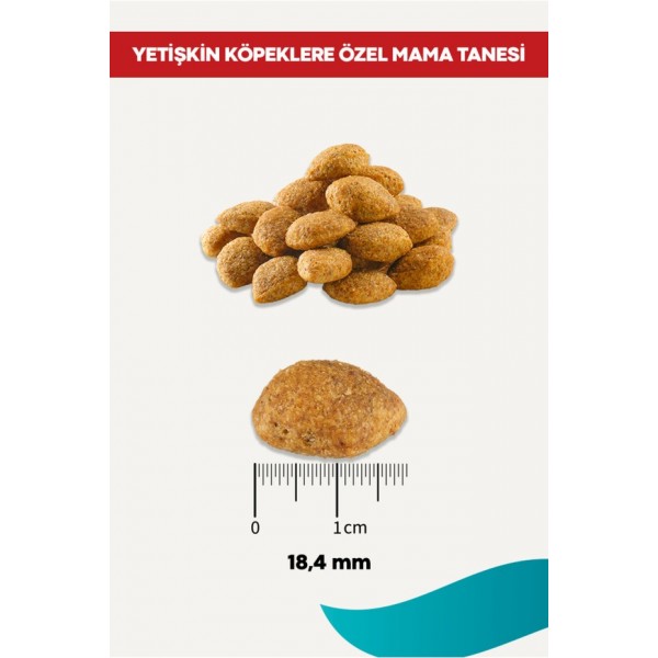 Rico Biftekli Yetişkin Köpek Maması 15 Kg