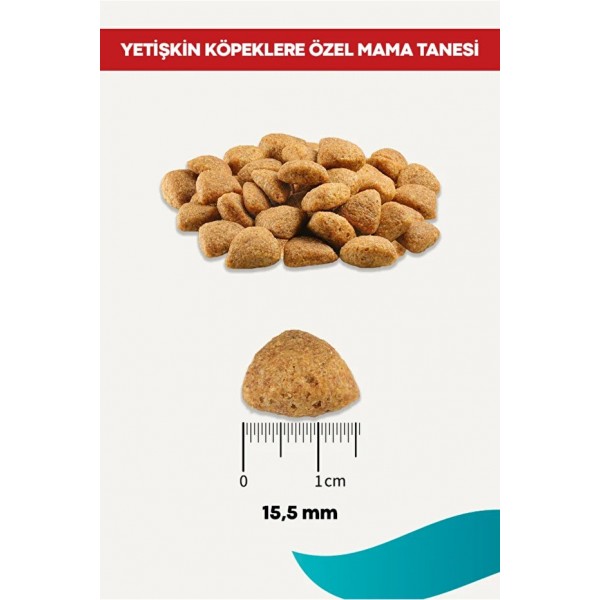 Rico Kuzulu Yetişkin Köpek Maması 15 Kg