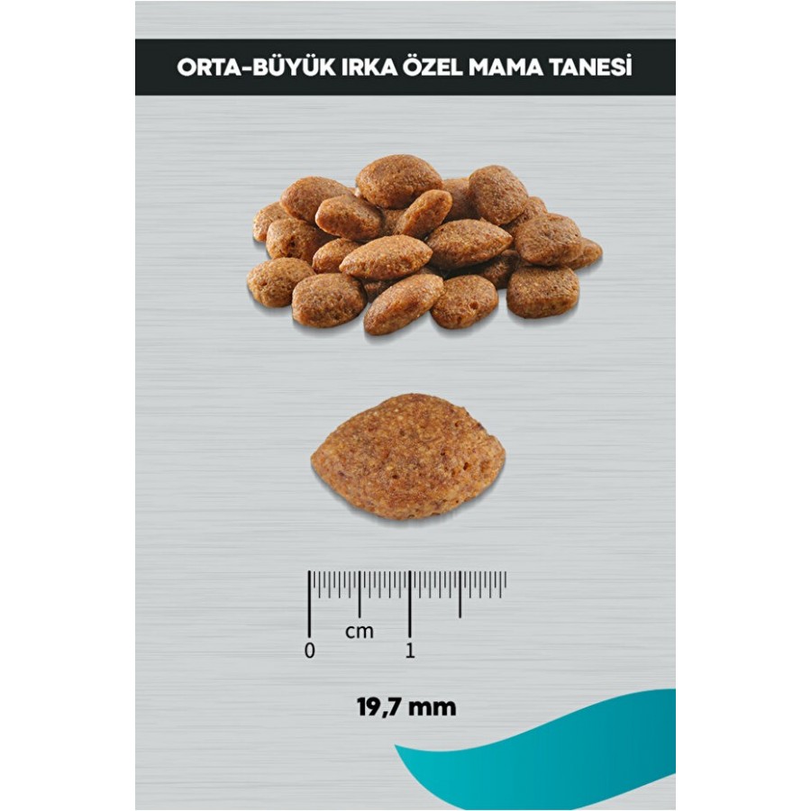 PERİTAS Signature Kuzulu Yetişkin Köpek Orta ve Büyük Irk - 12 kg